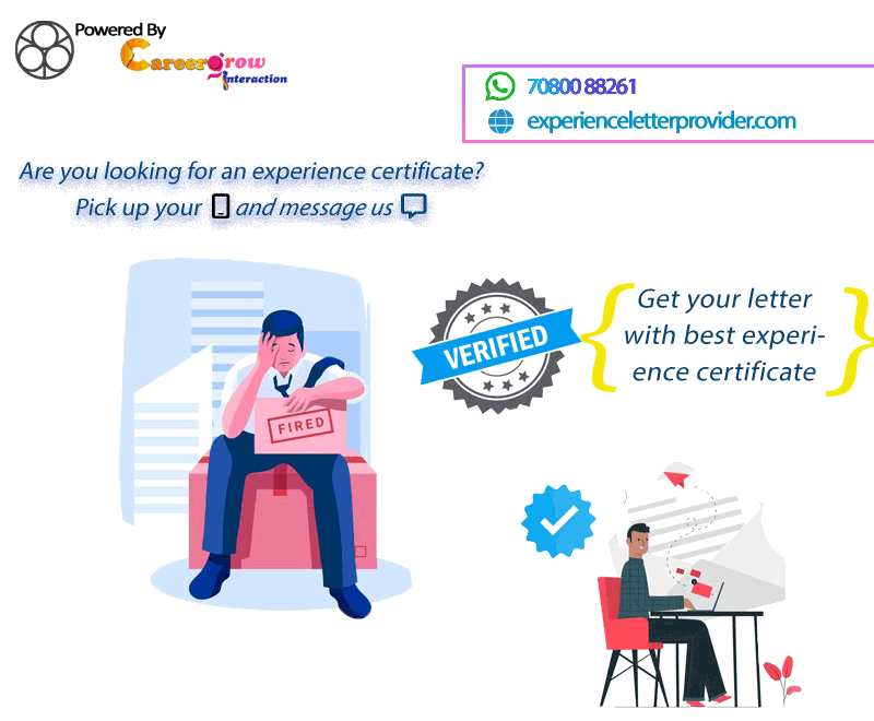 brief description of experience